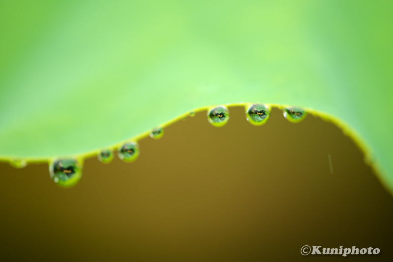 写真（ライフスタイル）に関するWebメディア